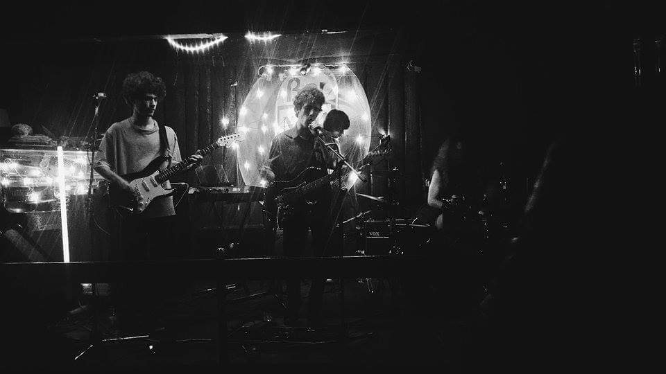 The Mouldy Cave Society performing live at N101 in Guimarães